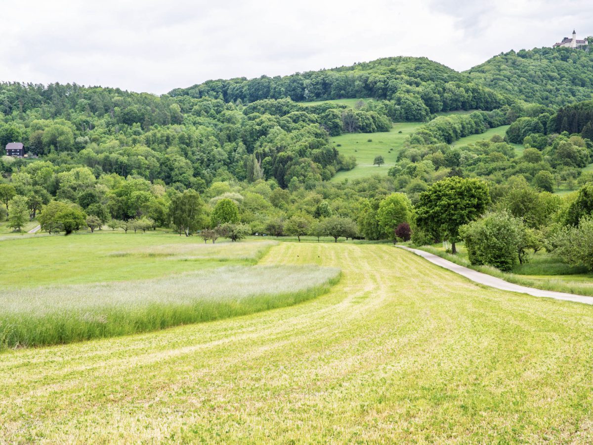 Aussicht