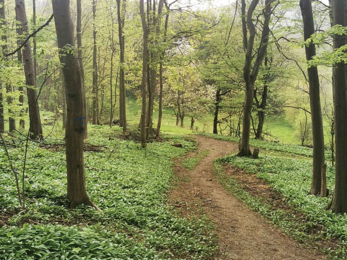 Umgebung